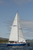 reindeer 4300c whyw24 sun 800 5327